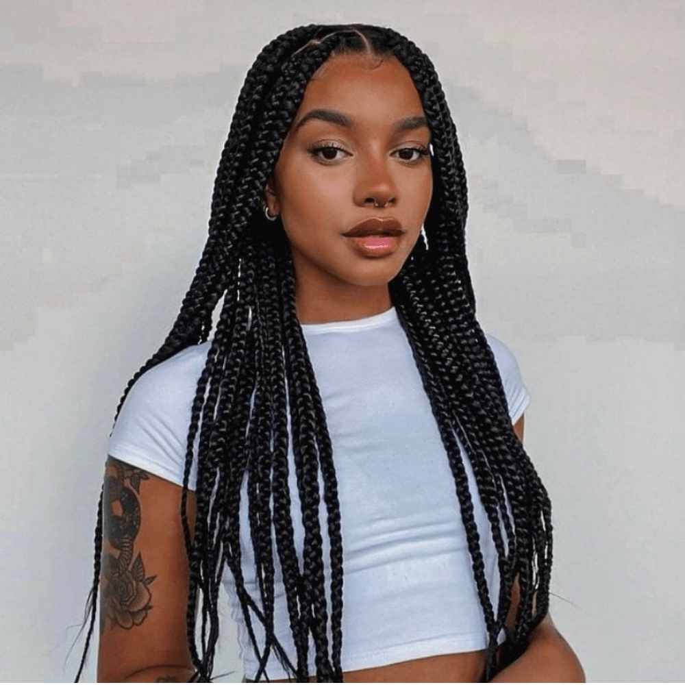 Mineralwasser Breit Unterbrechen Black Box Braids With Blonde Highlights Auf Kamerad Backen 